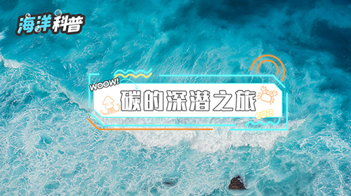 碳的深浅之旅