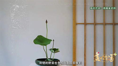 美好生活第13期