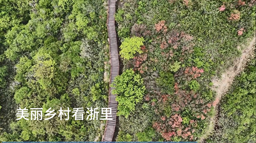 美丽乡村看浙里——余杭百丈