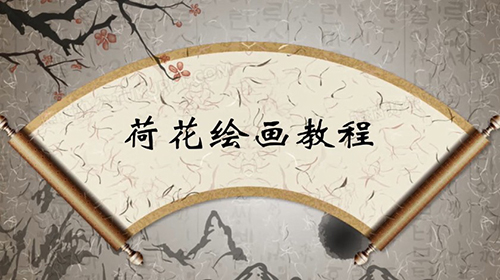 荷花 教学视频