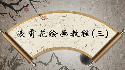 凌霄花 教学视频（三）
