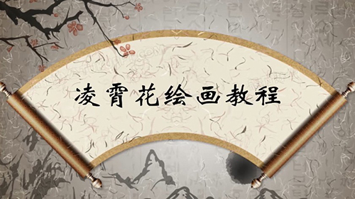 凌霄花课程教学一