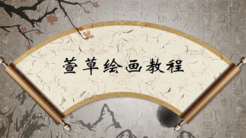 萱草 