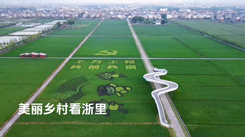 东阳市寀卢村